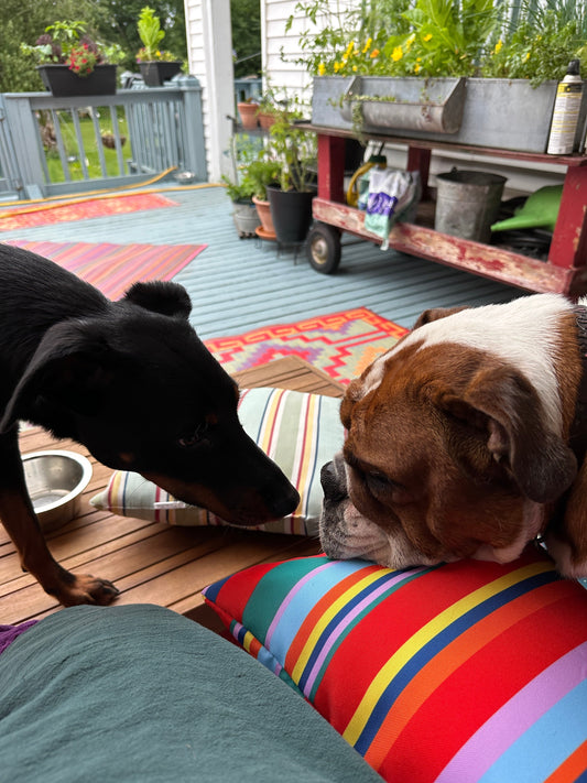 Pet-Themed Giveaways That Will Have Tails Wagging