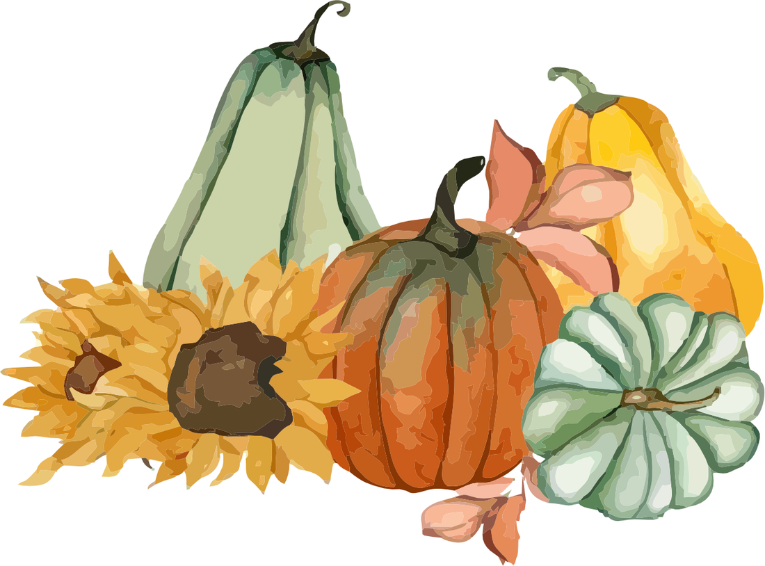 Elm Brook Farms extra ordinary pumpkins and gourds