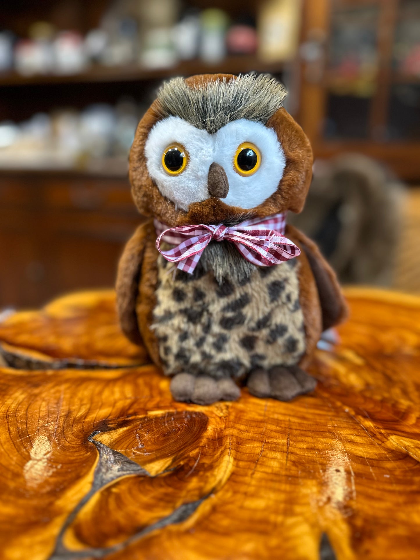 "Terrance" Owl Plush Toy in Retro Birdcage - Vintage-Style Home Decor