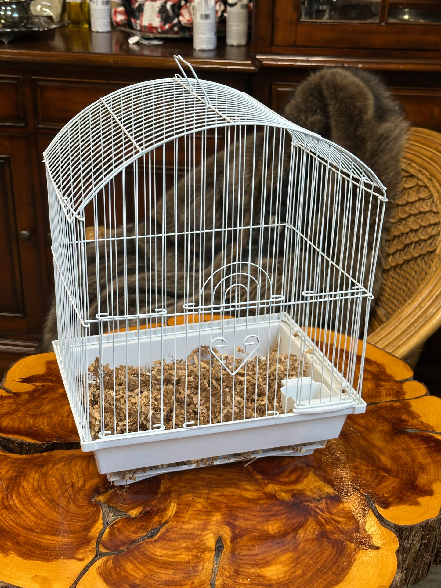 "Terrance" Owl Plush Toy in Retro Birdcage - Vintage-Style Home Decor