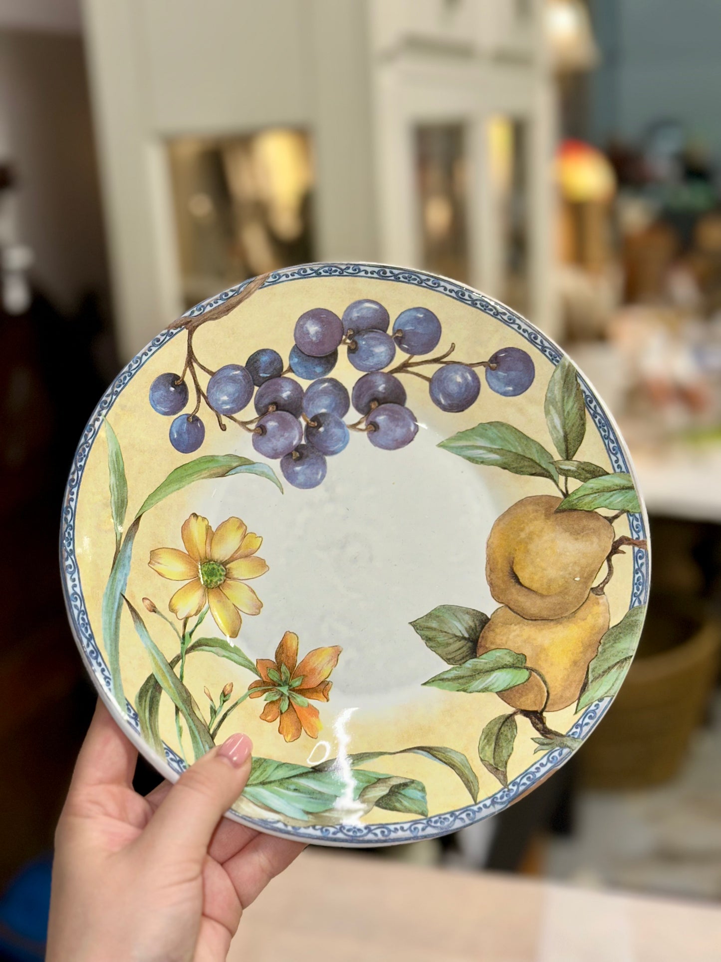 Toscana Versilia ICC Italy Hand Painted Fruit Plates Set of 6 – Made in Italy