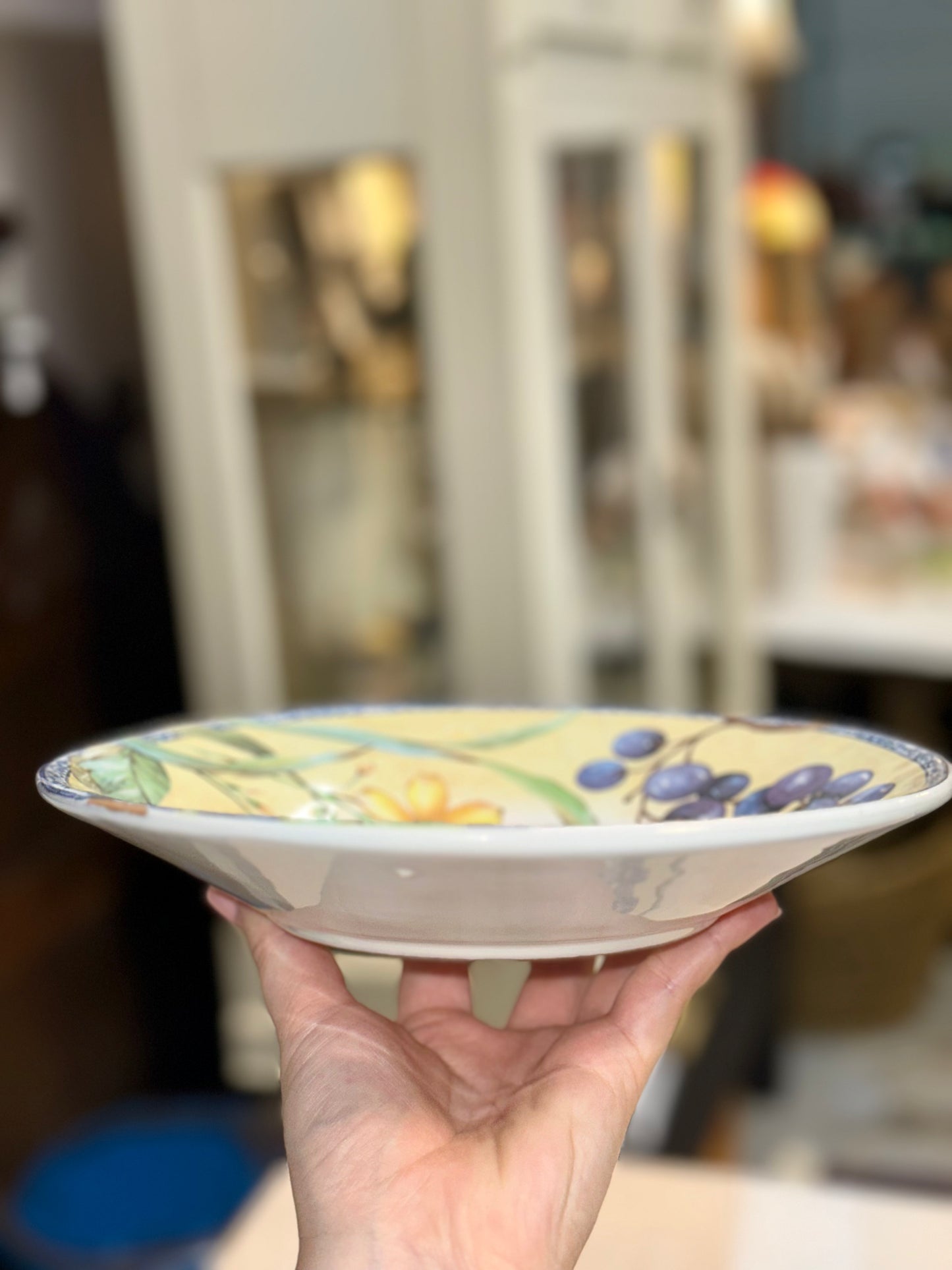 Toscana Versilia ICC Italy Hand Painted Fruit Plates Set of 6 – Made in Italy