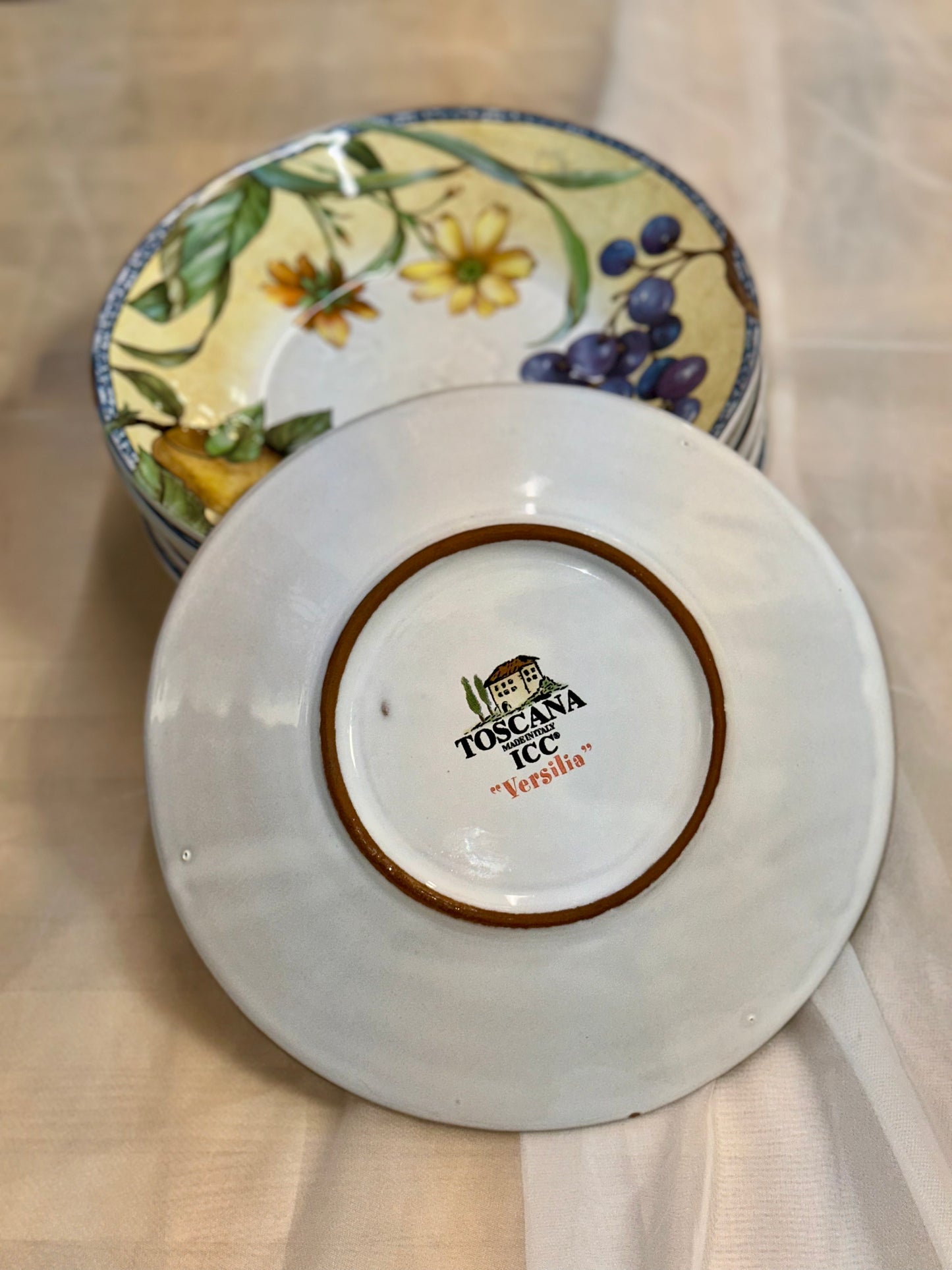 Toscana Versilia ICC Italy Hand Painted Fruit Plates Set of 6 – Made in Italy