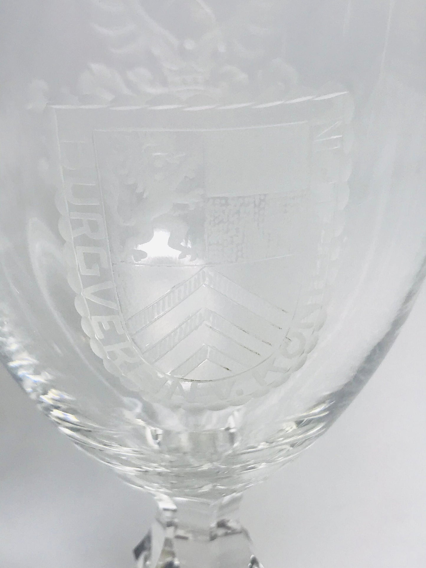 Burgverein v königstein large etched wine glass