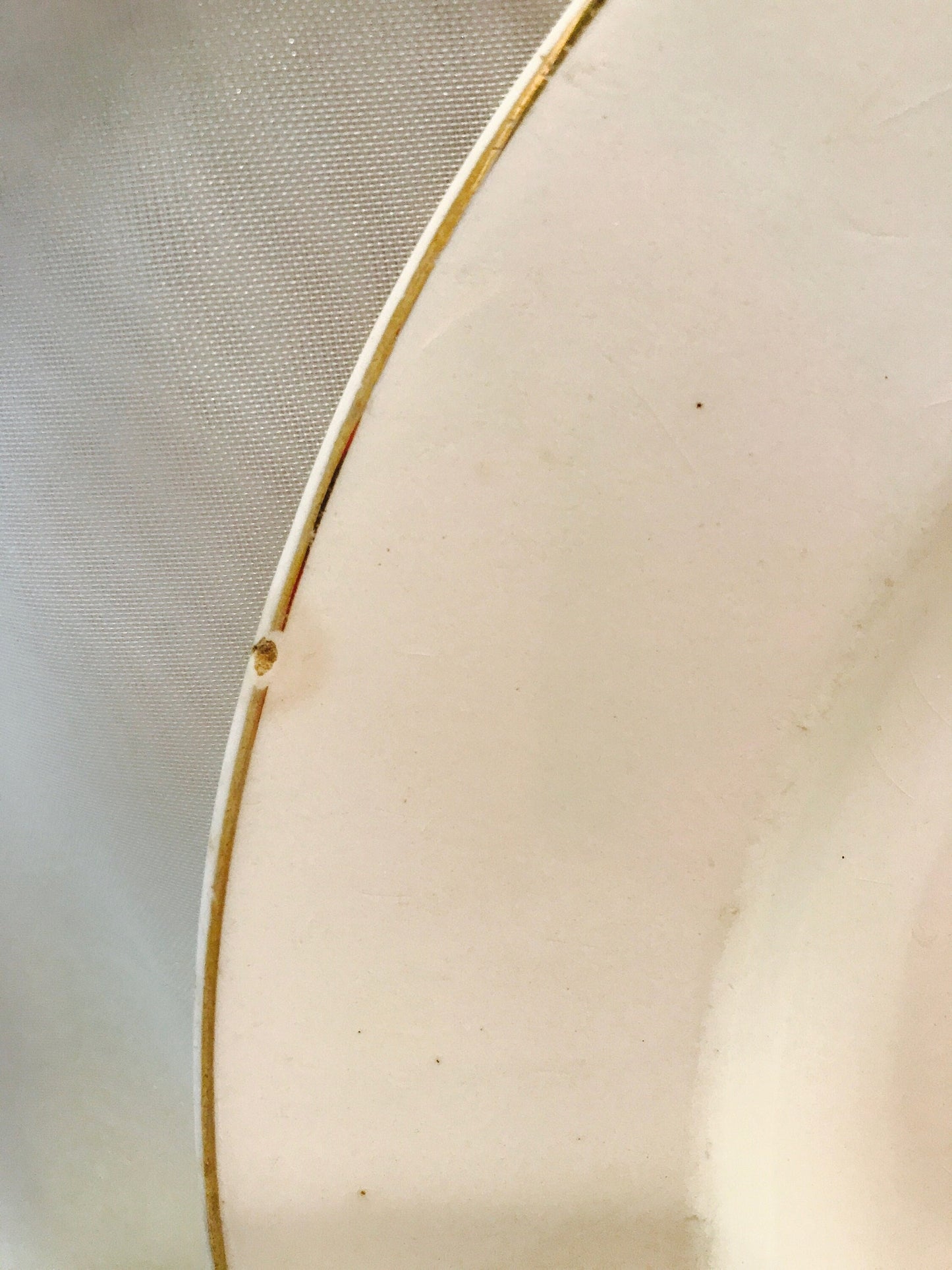 Gold trim needlepoint china plate