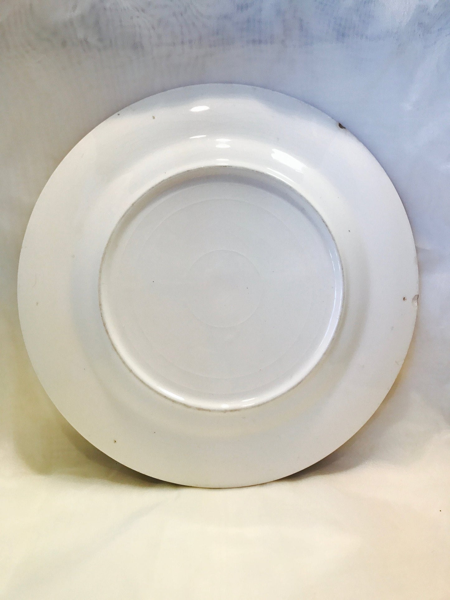 Gold trim needlepoint china plate