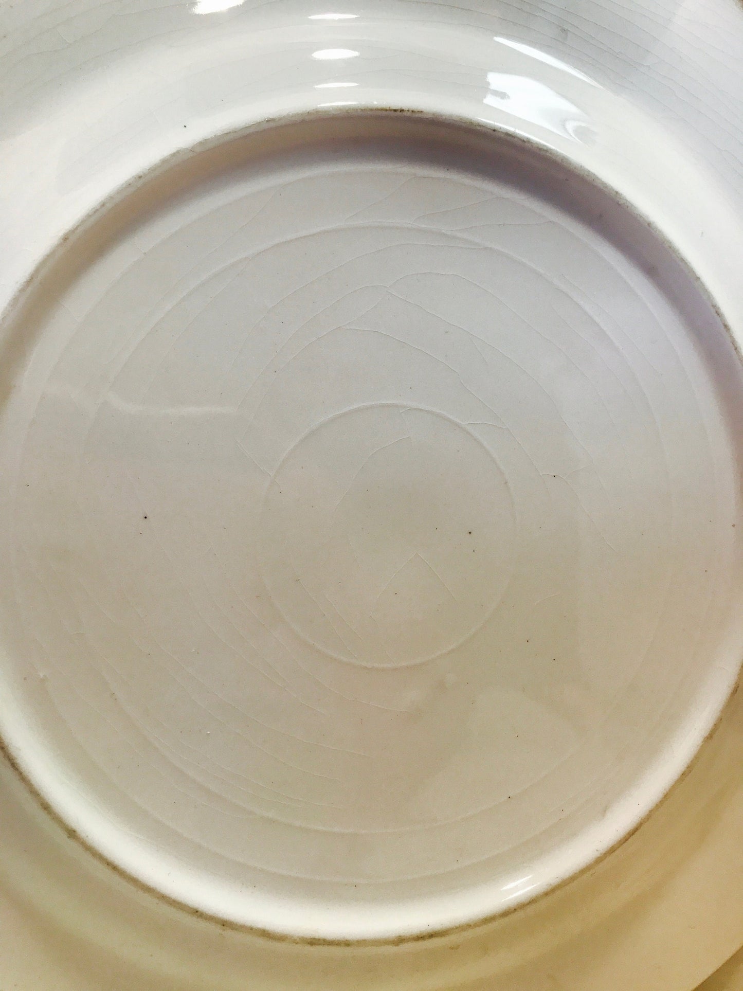 Gold trim needlepoint china plate