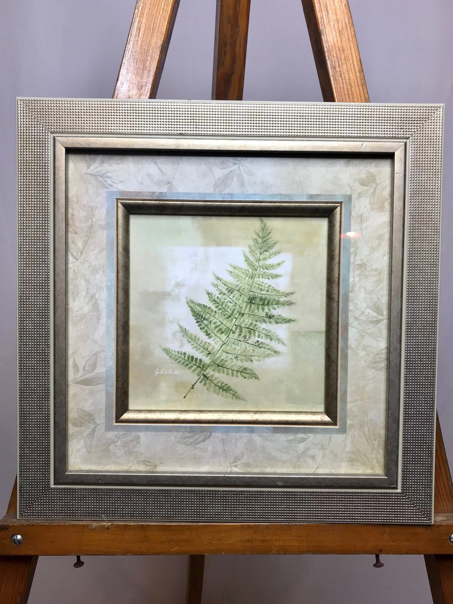 Matted fern design by cynthia coulter/ glass framed picture/wall decor (t)