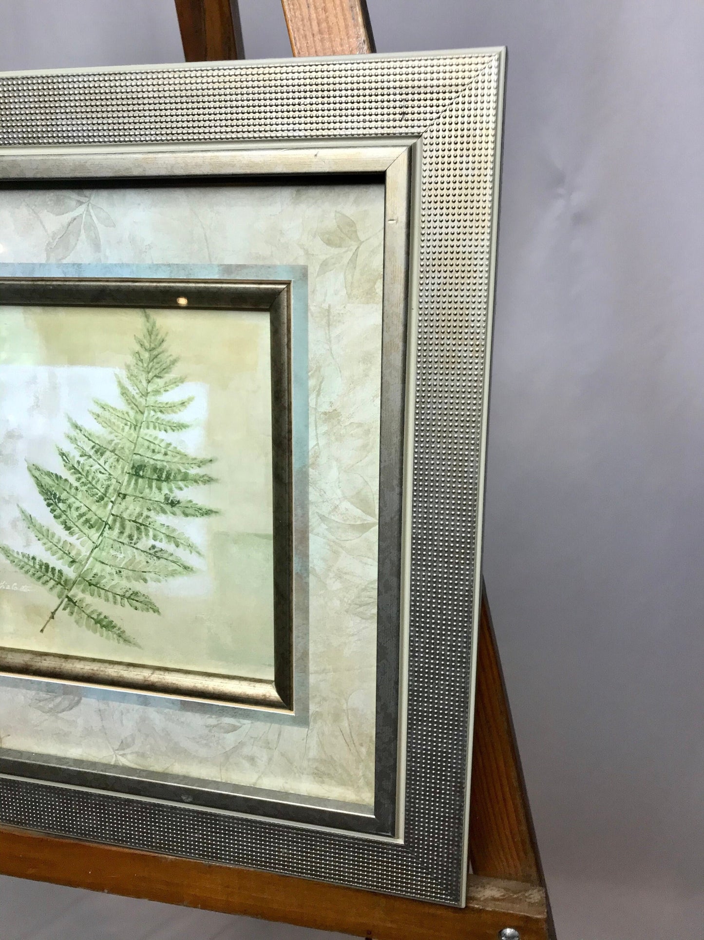 Matted fern design by cynthia coulter/ glass framed picture/wall decor (t)
