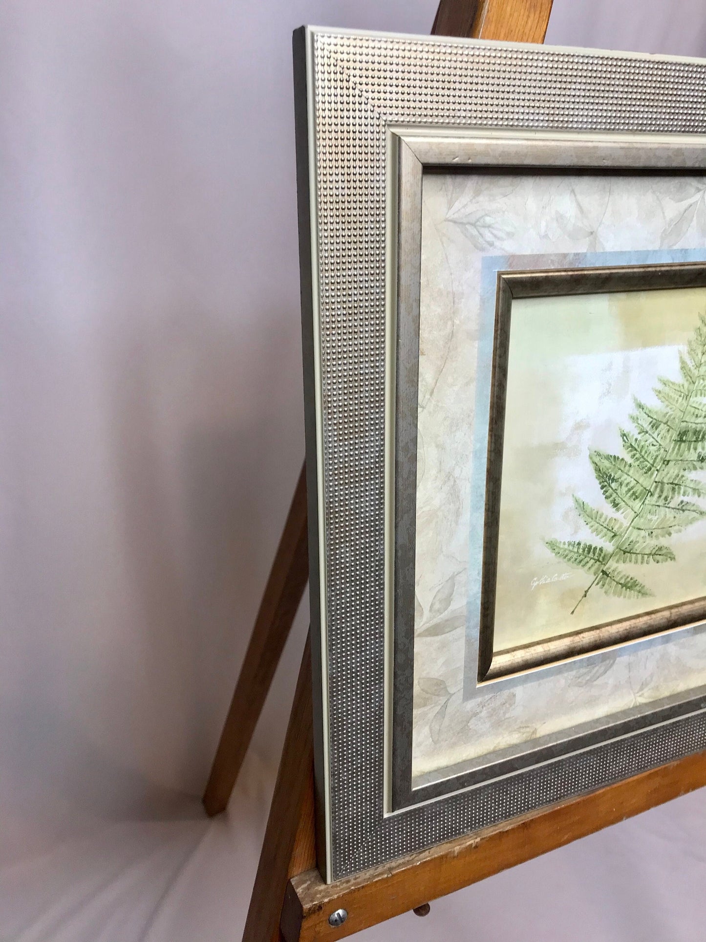 Matted fern design by cynthia coulter/ glass framed picture/wall decor (t)