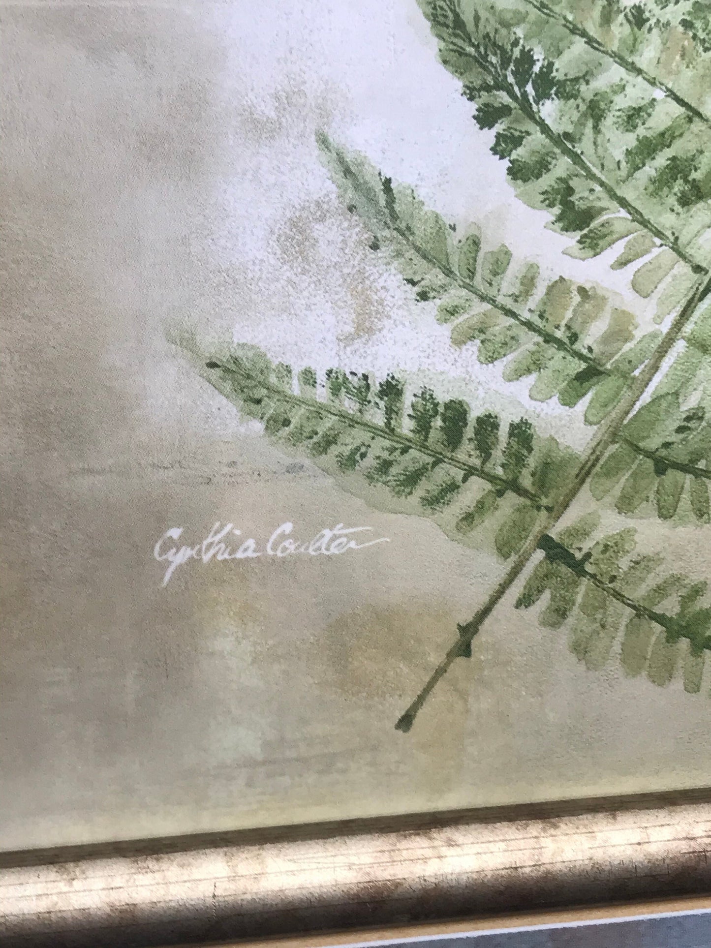 Matted fern design by cynthia coulter/ glass framed picture/wall decor (t)