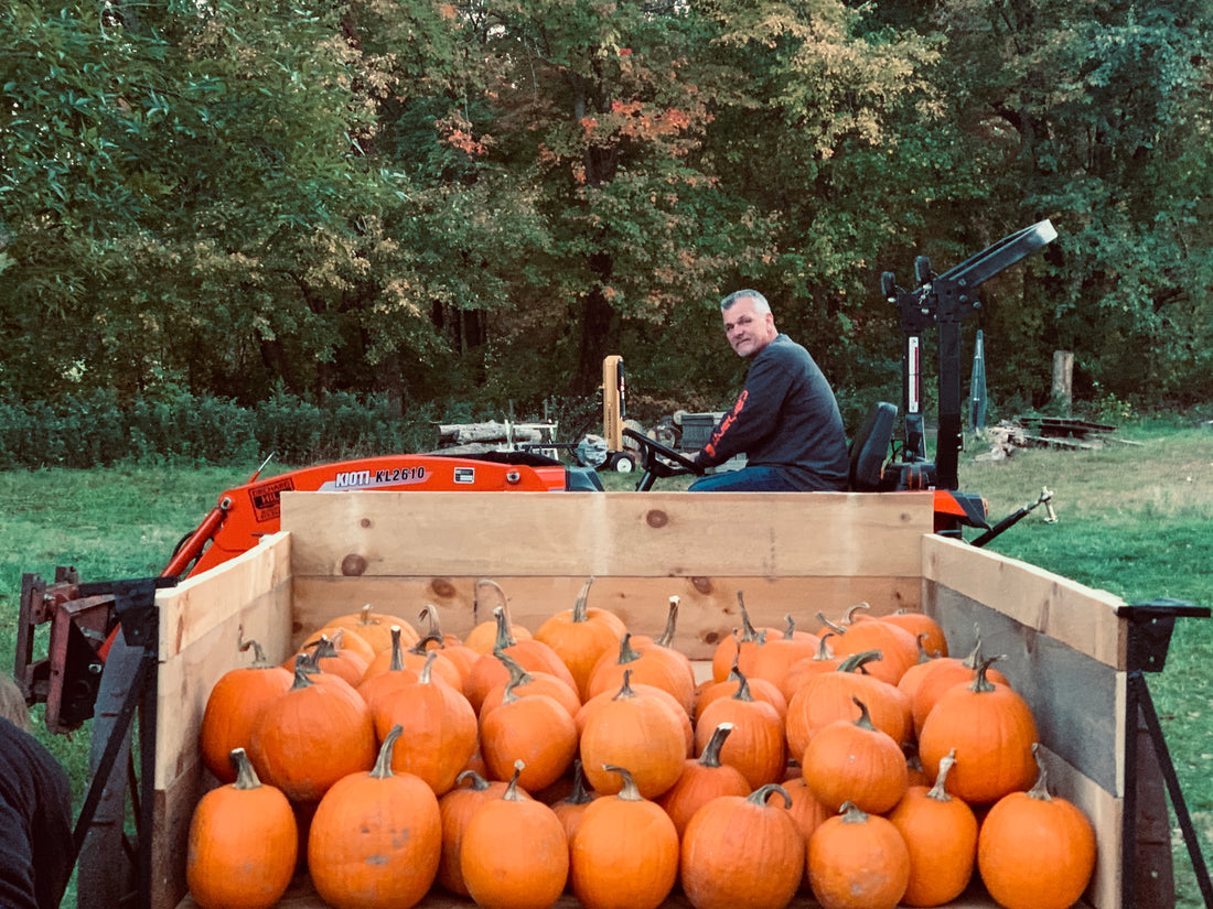 Elm Brook Farms extra ordinary pumpkins and gourds