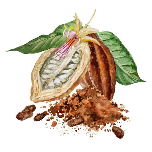 Ghirardelli Majestic cocoa package used in Terra Americana chocolate recipes