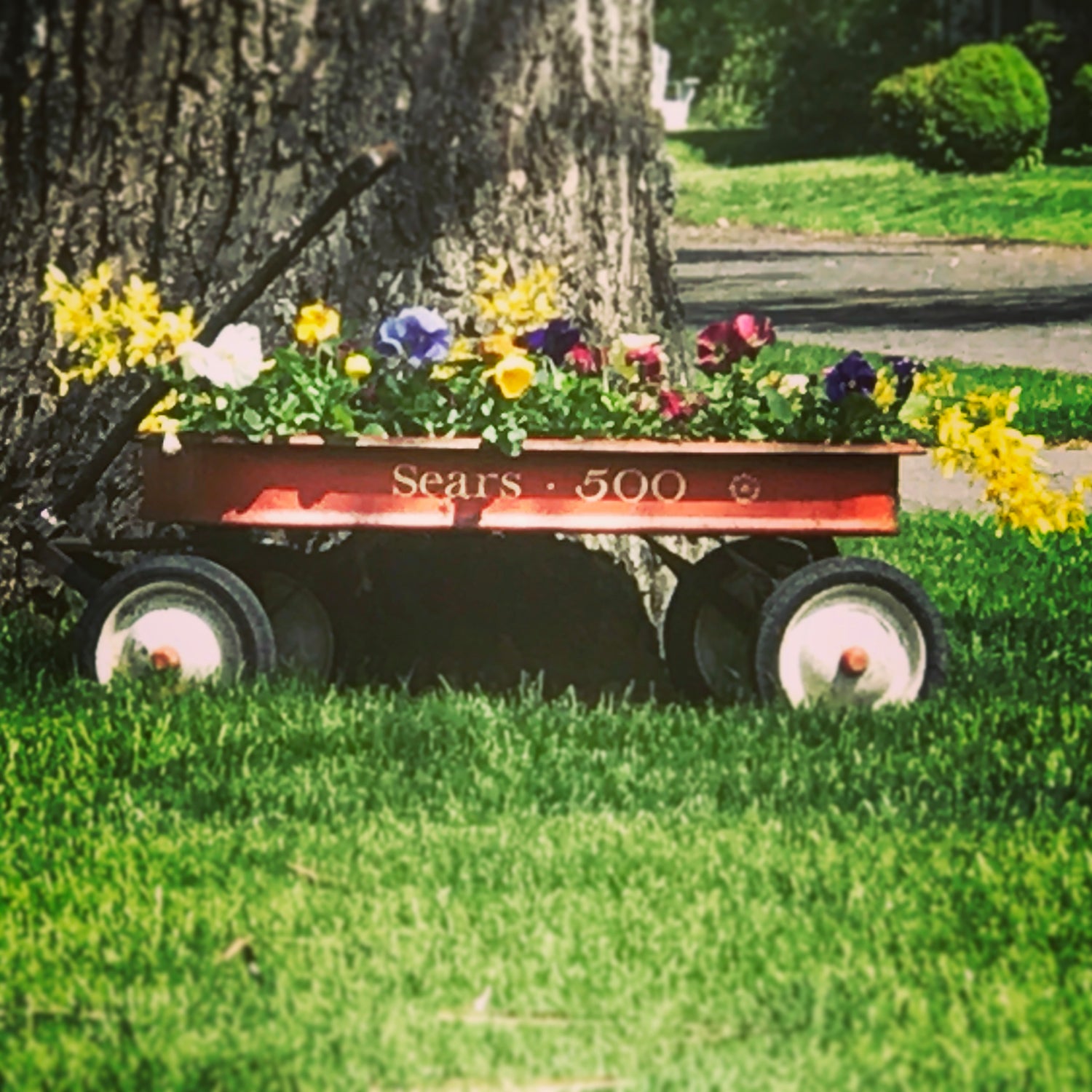 Garden Art