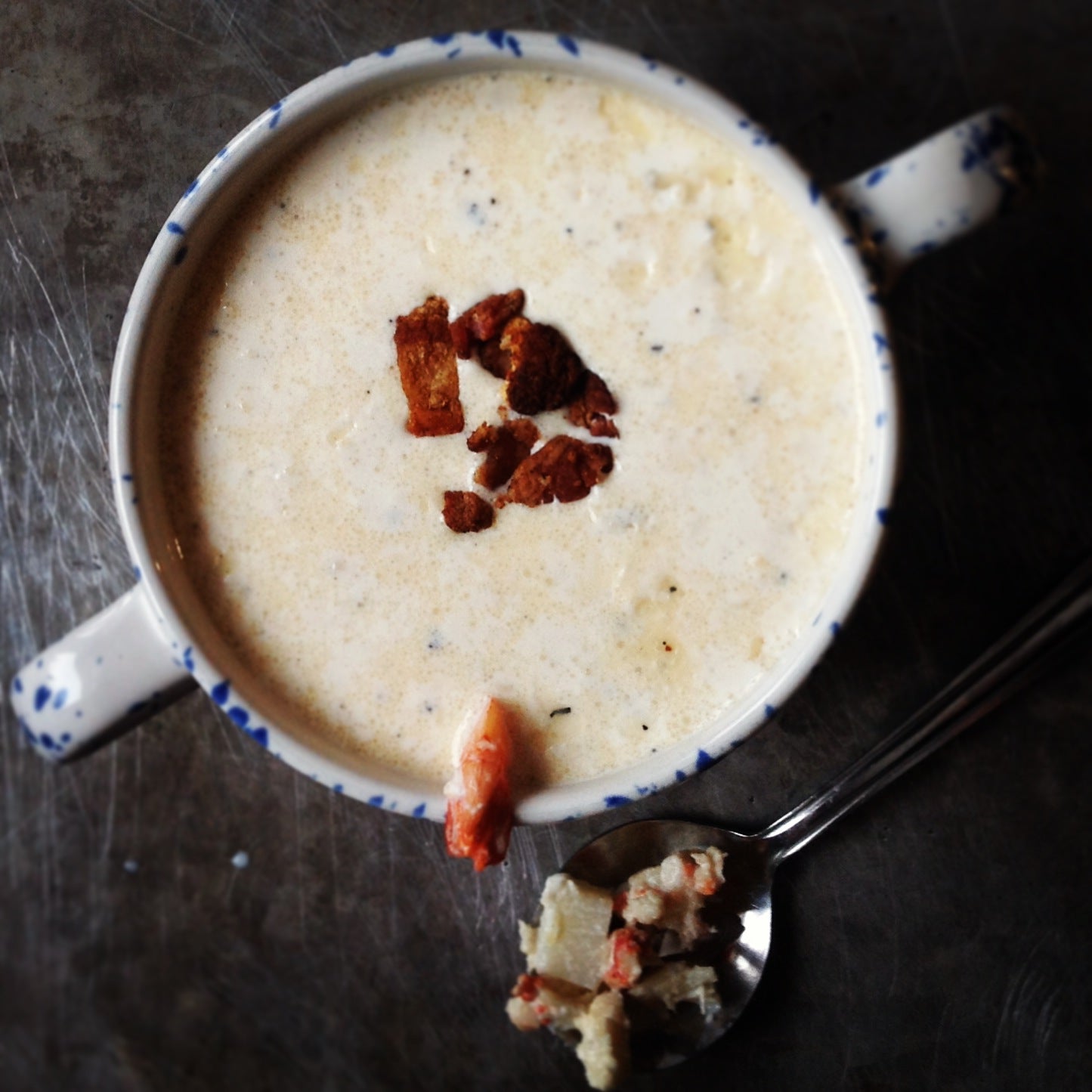 The Terra Americana Collection - Where Tradition Meets Taste