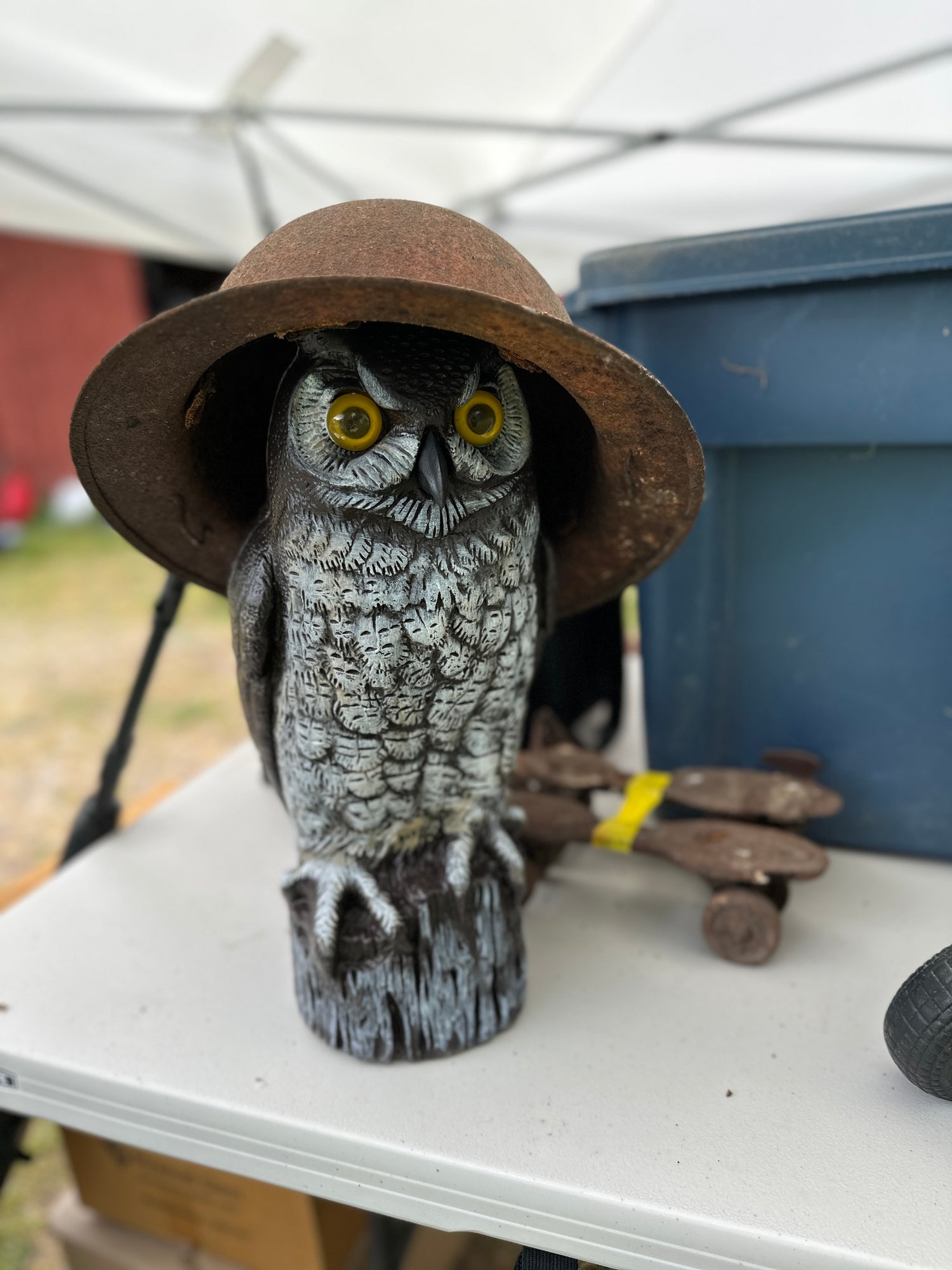 Vintage Finds from Elm Brook Farm