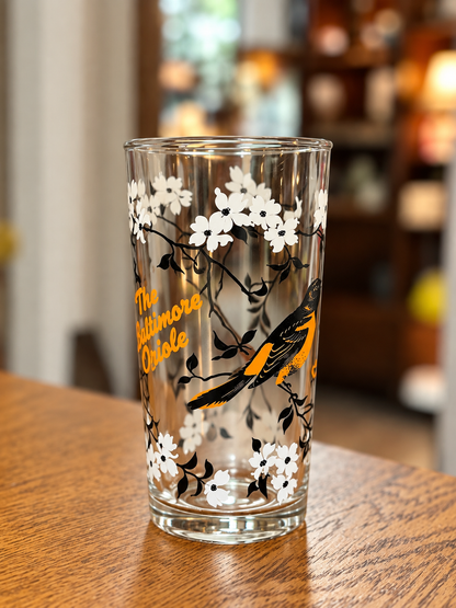 Baltimore Oriole vintage tumbler with bird and floral illustration