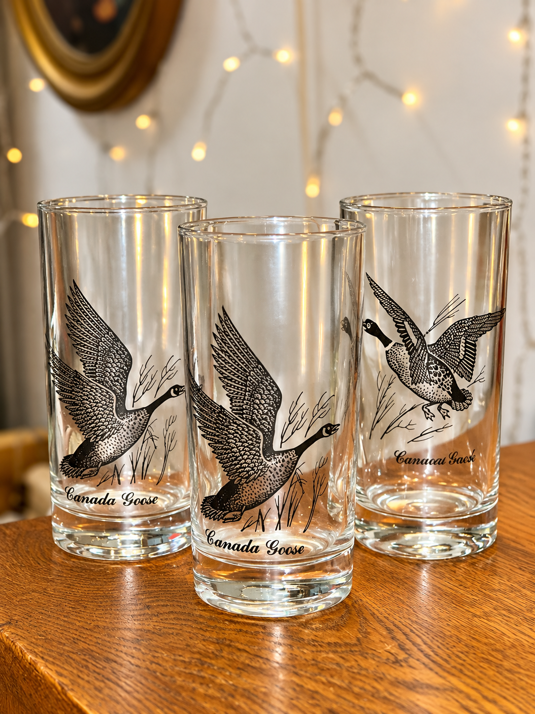 Vintage Canada Goose illustrated drinking glasses set of three
