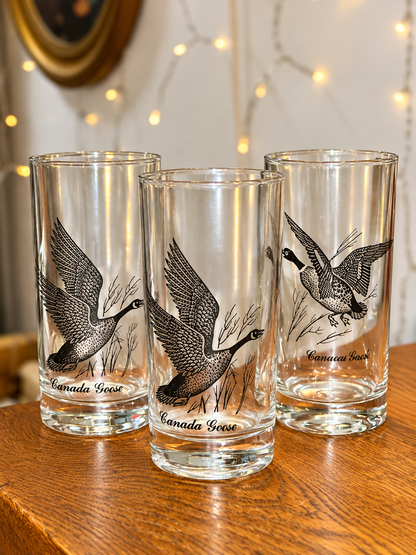 Vintage Canada Goose illustrated drinking glasses set of three