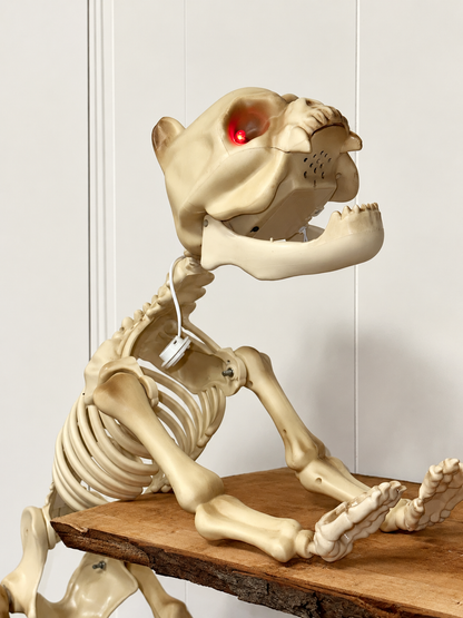 Halloween skeleton dog with red LED eyes
