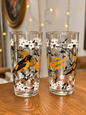 Vintage Baltimore Oriole illustrated drinking glasses set of two