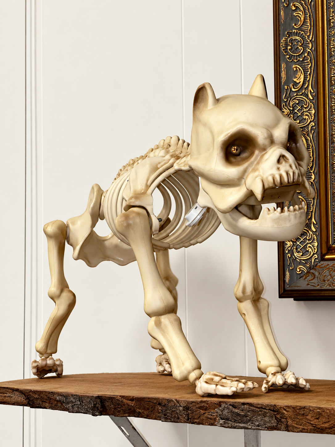 Plastic skeleton dog Halloween decoration