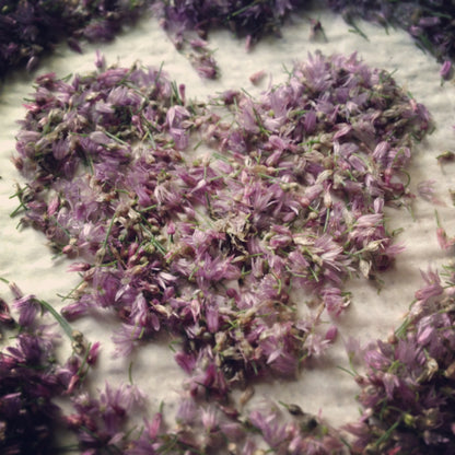 Chive blossom vinegar bottle with fresh purple chive flowers and herbs