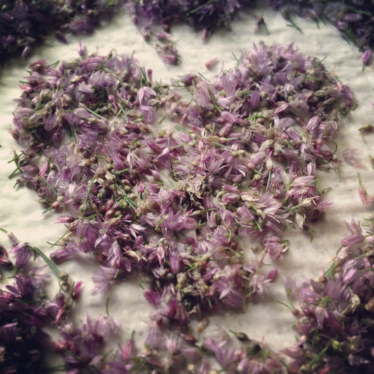 Chive blossom vinegar bottle with fresh purple chive flowers and herbs