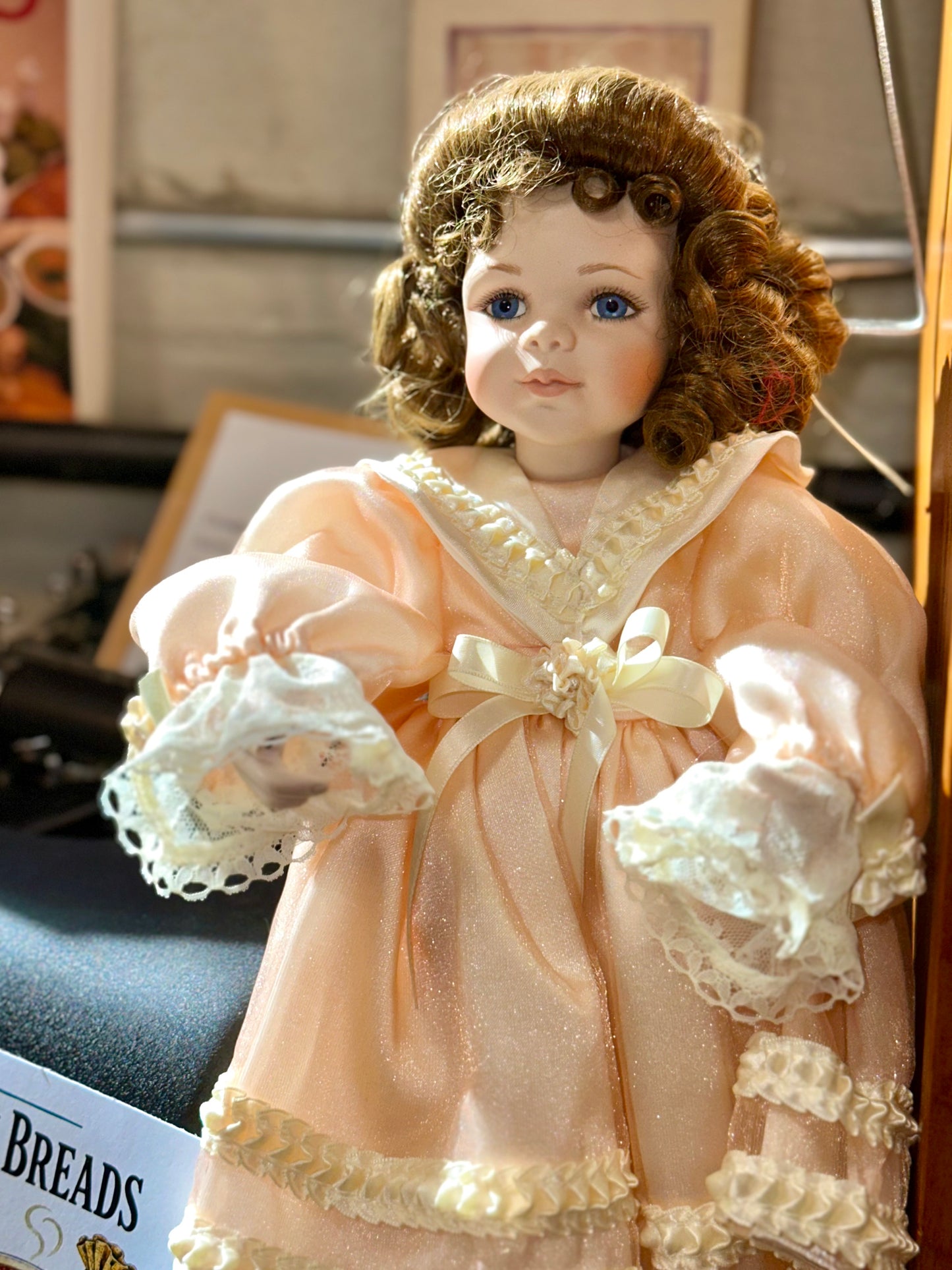 Vintage Ashton-Drake Collectible Dolls