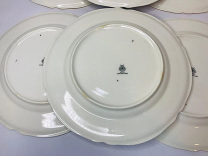 Castleton china castleton rose dinner plates set of 6