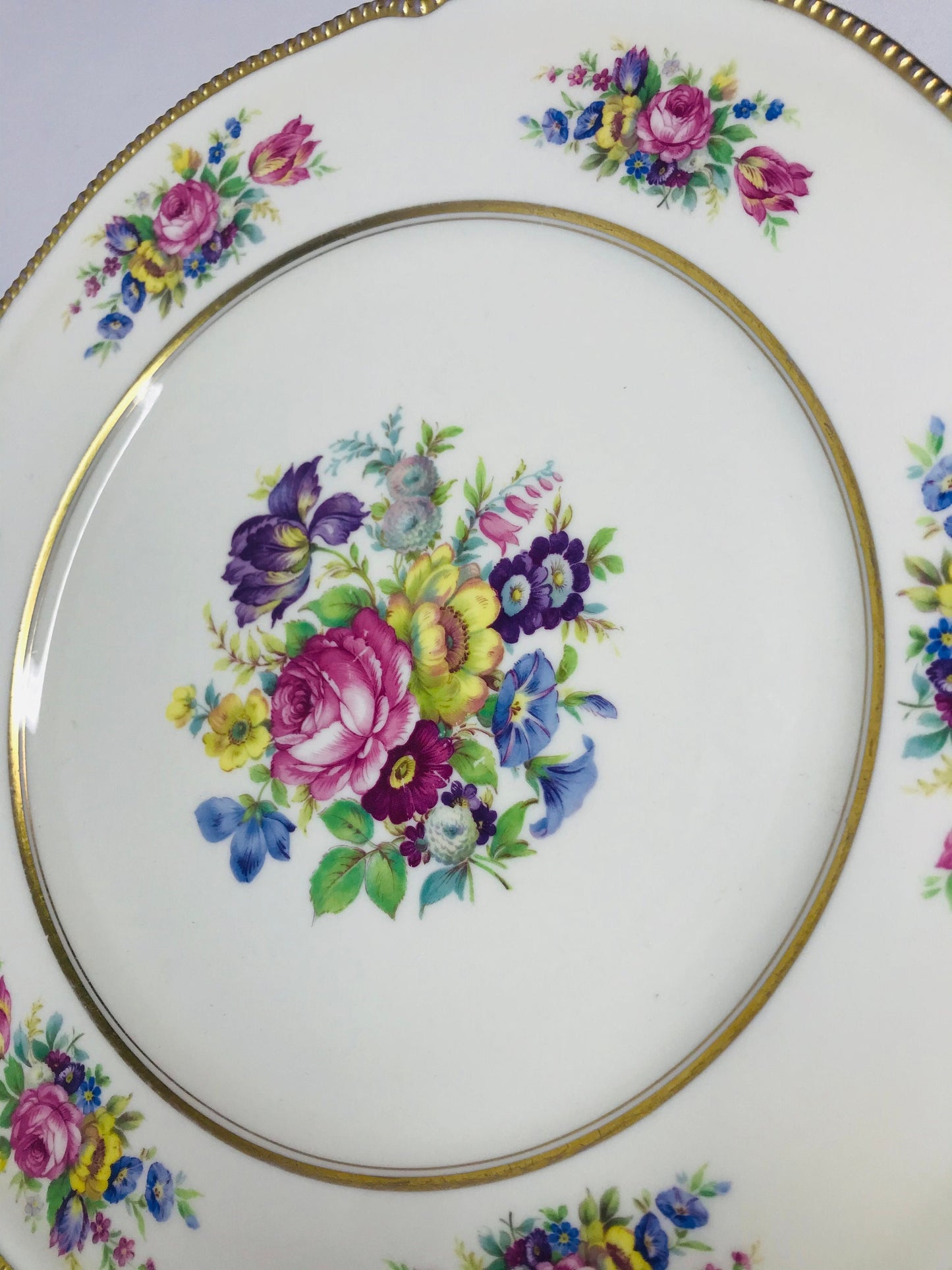 Castleton china castleton rose dinner plates set of 6